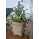 Γλάστρα Βέρνη 45(Y) x 49 x 30cm | kipogeorgiki.gr