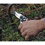 Felco 19 with Spraying Device Original Felco 19 with Spraying Device | Pruning Tools