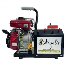 ANGELIS GEOTEC 2.5hp 13.8V Gasoline Micro Generator