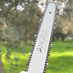 Κονταροπρίονο Τηλεσκοπικό Μπαταρίας 25cm 21V 2x5Ah 2,6m ΑΓΓΕΛΗΣ - Φορητά Κονταροπρίονα Κλαδέματος με Μπαταρίες