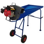 Olive Defoliator Gasoline 4-Stroke CAMPEON 3HP Turbine
