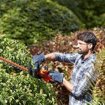 Black & Decker 500W Electric Hedge Trimmer 55cm