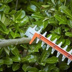 Black & Decker 650W Electric Hedge Trimmer 60cm