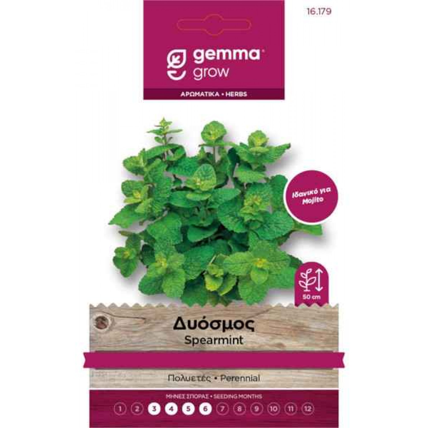 Δυόσμος Σπόροι Φακελάκι 16179 (Mentha spicata)