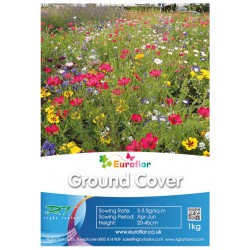 EUROFLOR Ground Cover 1kg Seeds Mixture for Urban Meadows - Urban Meadows Seed Mixes EUROFLOR Ground Cover 1kg Seeds Mixture for Urban Meadows
