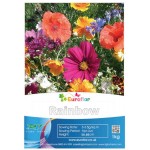 EUROFLOR Rainbow Annuals 1kg Seeds Mixture for Urban Meadows