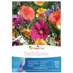 EUROFLOR Rainbow Annuals 1kg Seeds Mixture for Urban Meadows - Urban Meadows Seed Mixes EUROFLOR Rainbow Annuals 1kg Seeds Mixture for Urban Meadows