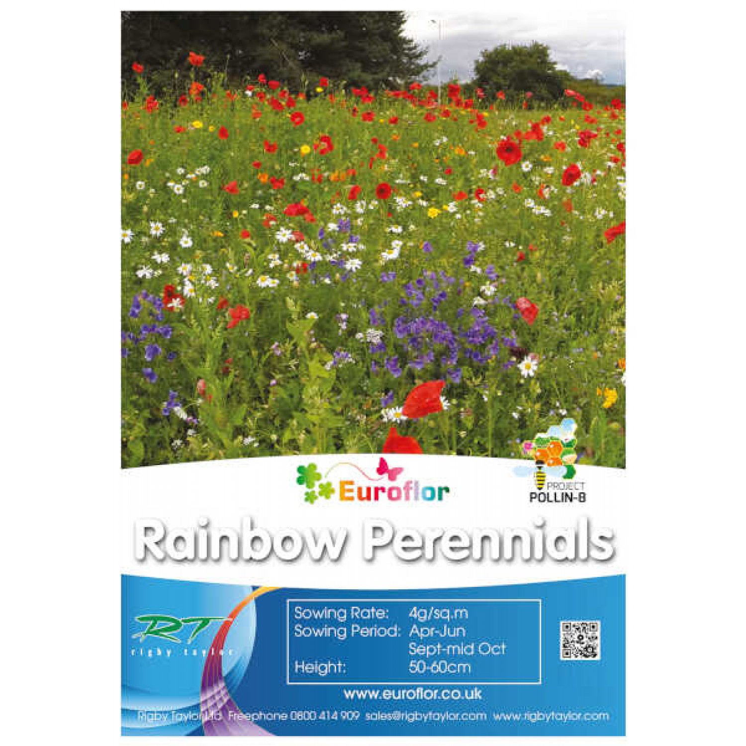 Σπόροι Μείγμα Rainbow Perennials 1kg Αστικά Λιβάδια EUROFLOR