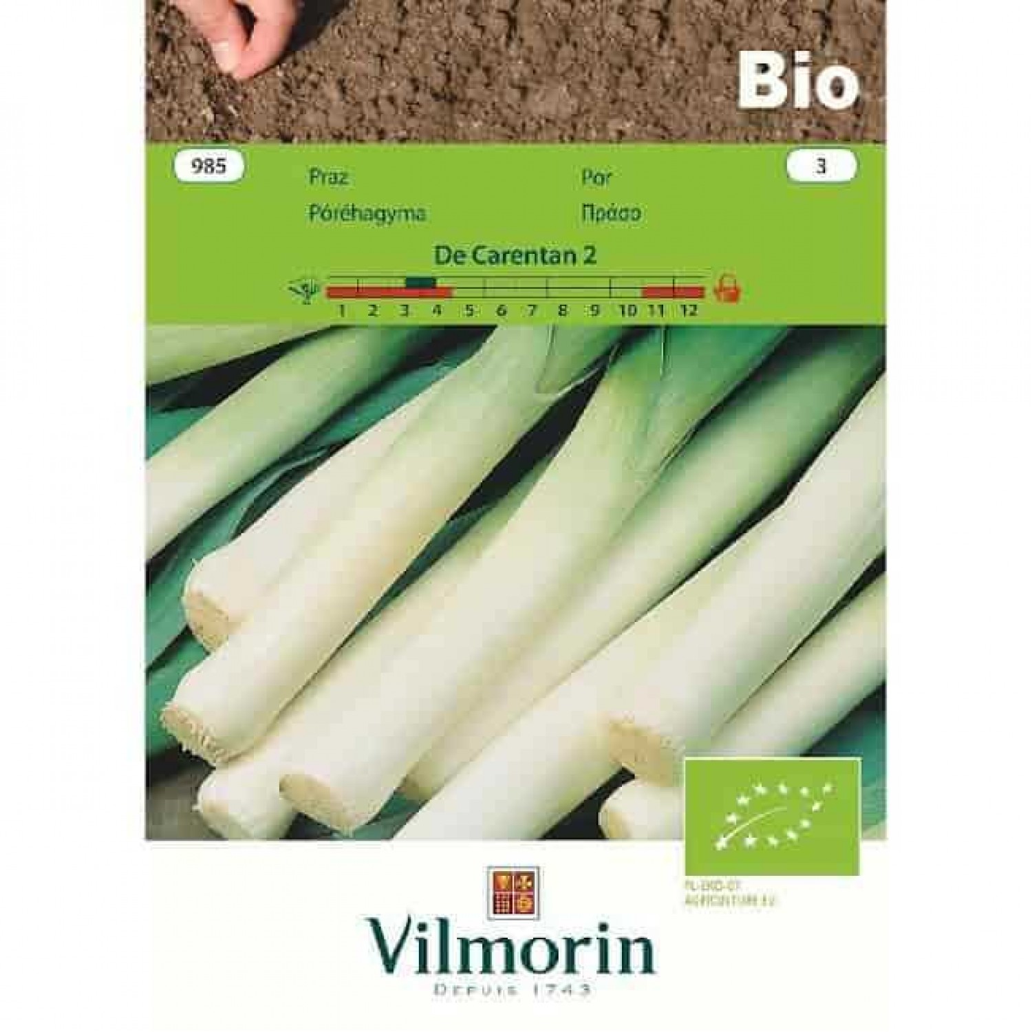 Leek Bio De Carentan 2 (985) Organic Seeds VILMORIN