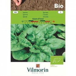 Spinach Bio Geant d'Hiver 968 Organic Seeds VILMORIN
