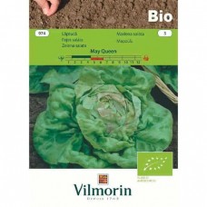 Lettuce Bio May Queen 974 Organic Seeds VILMORIN