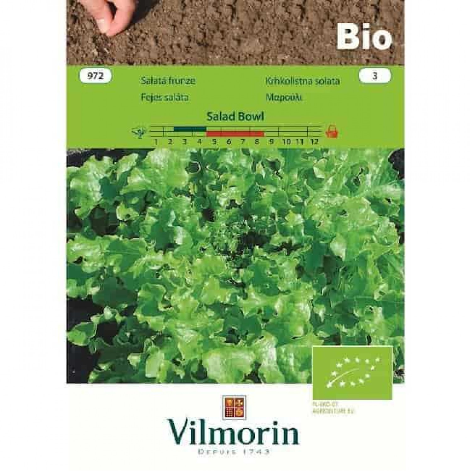 Lettuce Bio Salad Bowl 972 Organic Seeds VILMORIN