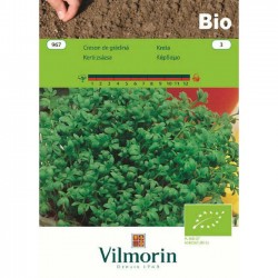 Garden Cress Bio 967 Organic Seeds (Lepidium sativum) VILMORIN