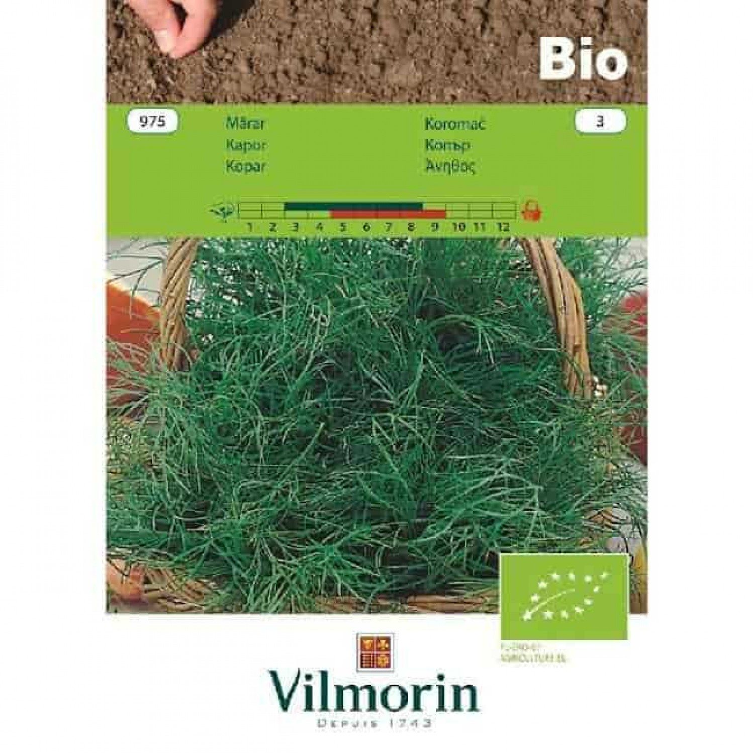 Organic Seeds Dill Bio 975 VILMORIN | Kipogeorgiki
