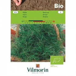 Dill Bio 975 VILMORIN - Organic Seeds Organic Seeds Dill Bio 975 VILMORIN | Kipogeorgiki