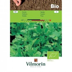 Arugula Bio 981 Organic Seeds (Eruca sativa) VILMORIN Arugula Bio 981 Organic Seeds VILMORIN