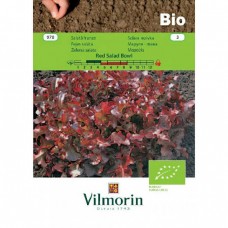 Βιολογικοί Σπόροι Μαρούλι Red Salad Bowl 970 VILMORIN