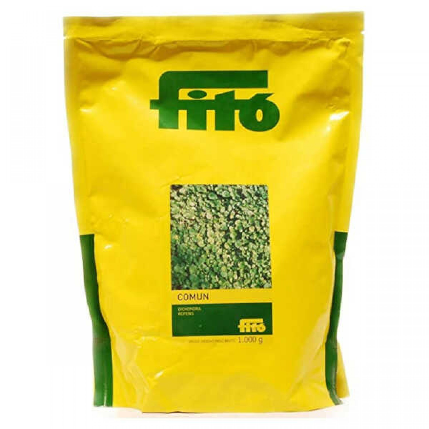 Kidney Weed 1kg (Dichondra repens) Ground Cover Seeds