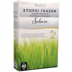 Coastal Lawn Seeds 0.5Kg Sahara Mixture - HORTUS Turf Grass Seeds Coastal Lawn Seeds 0.5Kg Sahara Mixture - HORTUS