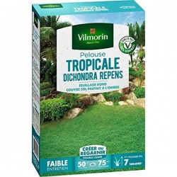 Dichondra Lawn (Dichondra repens) 0,5Kg Seeds - VILMORIN Turf Grass Seeds Dichondra Lawn (Dichondra repens) 0,5Kg Seeds - VILMORIN