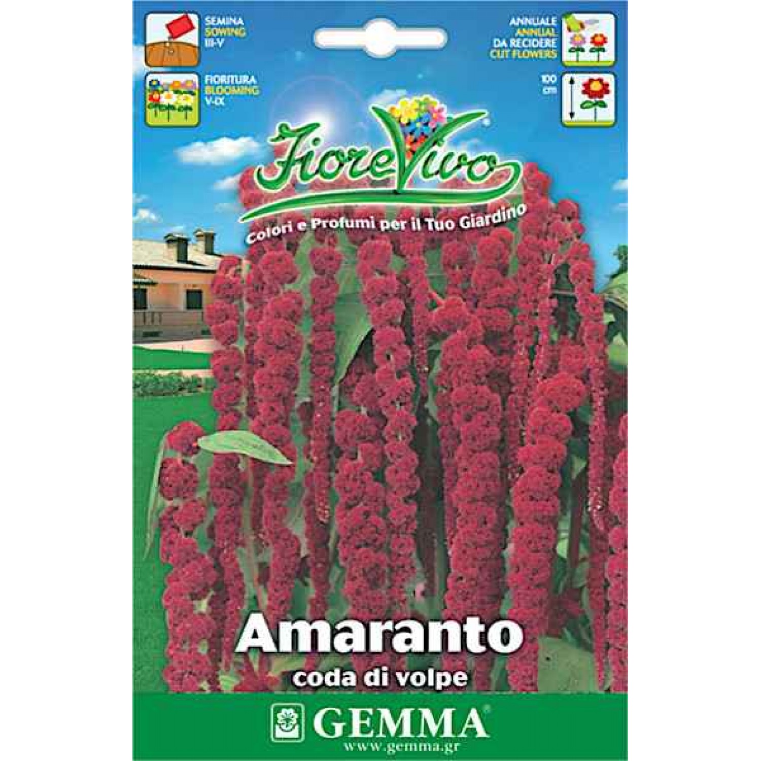 Love-Lies-Bleeding 2g Seeds Packet (Amaranthus caudatus) - Seed for Love-Lies-Bleedings Love-Lies-Bleeding 2g Seeds Packet-Amaranthus caudatus