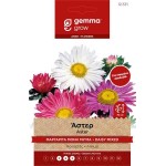 Άστερ Μαργαρίτα Μονή Μίγμα 1g Σπόροι Φάκελος (Callistephus chinensis) - Σπόρος για Αστράκια, Μαργαρίτες Άστερ Μαργαρίτα Μονή Mix 1g Σπόροι-Callistephus chinensis