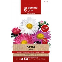Chinese Aster Mix 1g Seeds Packet (Callistephus chinensis) - Asters Seed Chinese Aster Mix 1g Seeds Packet-Callistephus chinensis