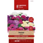 Άστερ Νάνο Μίγμα 1g Σπόροι Φάκελος (Callistephus chinensis) - Σπόρος για Αστράκια, Μαργαρίτες Άστερ Νάνο Μίγμα 1g Σπόροι (Callistephus chinensis)
