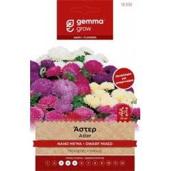 Chinese Aster Dwarf Mix 1g Seeds Packet (Callistephus chinensis) - Asters Seed Chinese Aster Dwarf Mix 1g Seeds-Callistephus chinensis