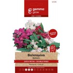 Garden Balsam Double Mix 0.5g Seeds Packet (Impatiens balsamina) - Seed for Garden Balsams Garden Balsam Double Mix 0.5g Seeds-Impatiens balsamina