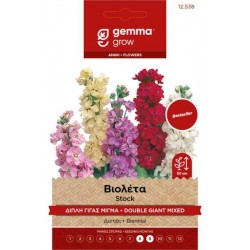 Βιολέτα Διπλή Γίγας Μίγμα 0,5g Σπόροι-Matthiola incana