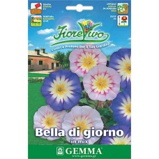 Ιπομέα Δίχρωμη ή Πρωινή Χαρά 1g Σπόροι-Ipomoea bicolor