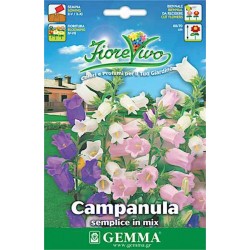 Tussock Bellflower 70cm 0.3g Seeds-Campanula carpatica