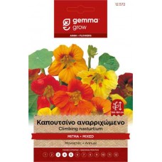 Καπουτσίνο Αναρριχώμενο Μίγμα 2g Σπόροι-Tropaeolum majus