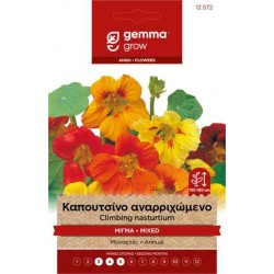 Garden Nasturtium Vine Mix 2g Seeds (Tropaeolum majus)