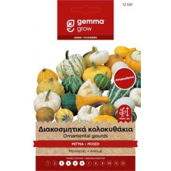 Decorative Zucchini Mix 2g Seeds Packet (Cucurbita pepo) - Seed for Zucchinis Decorative Zucchini Mix 2g Seeds Packet-Cucurbita pepo