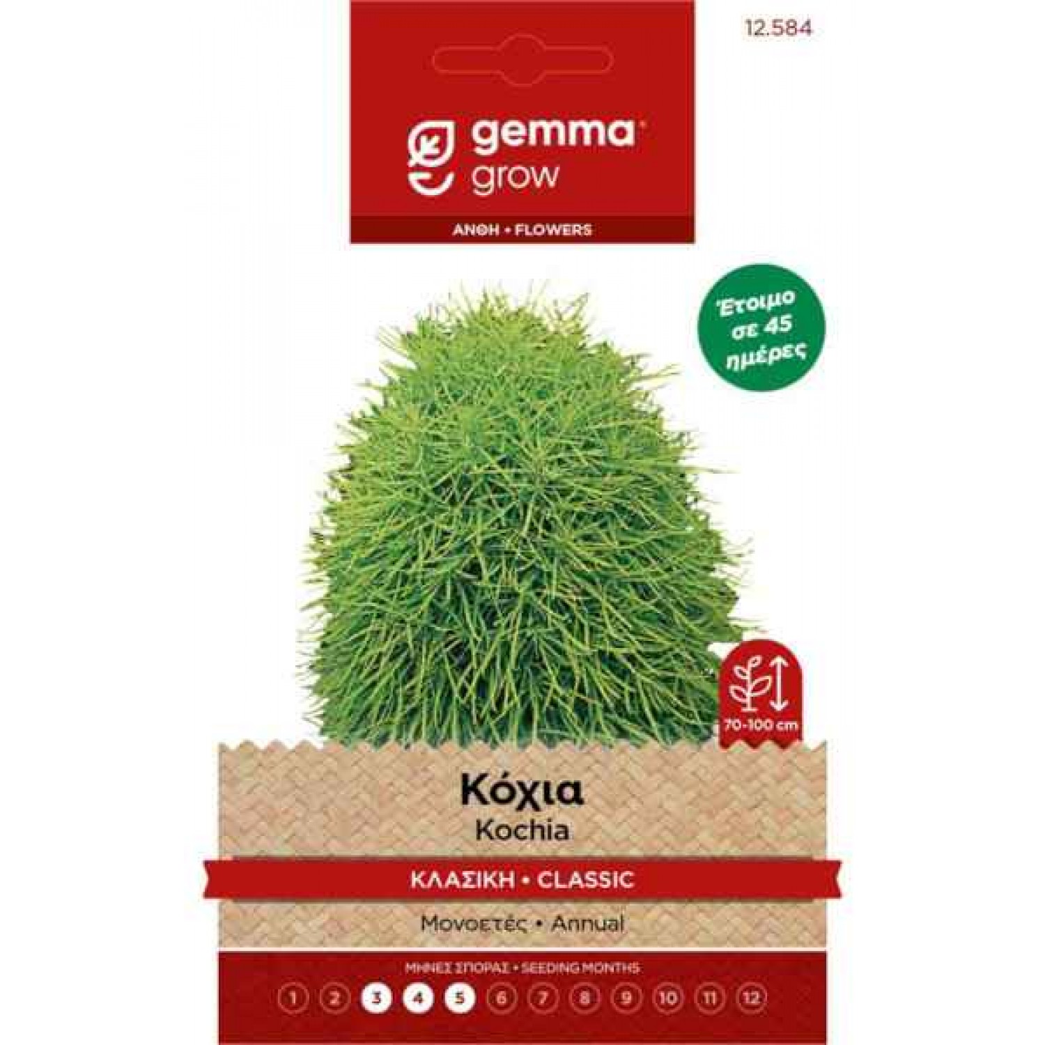 Summer Cypress 1g Seeds-Bassia scoparia f. trichophylla