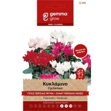 Persian Giant Cyclamen Mix 1g Seeds (Cyclamen persicum)