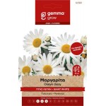 White Ox-Eye Daisy 0.3g Seeds-Chrysanthemum leucanthemum