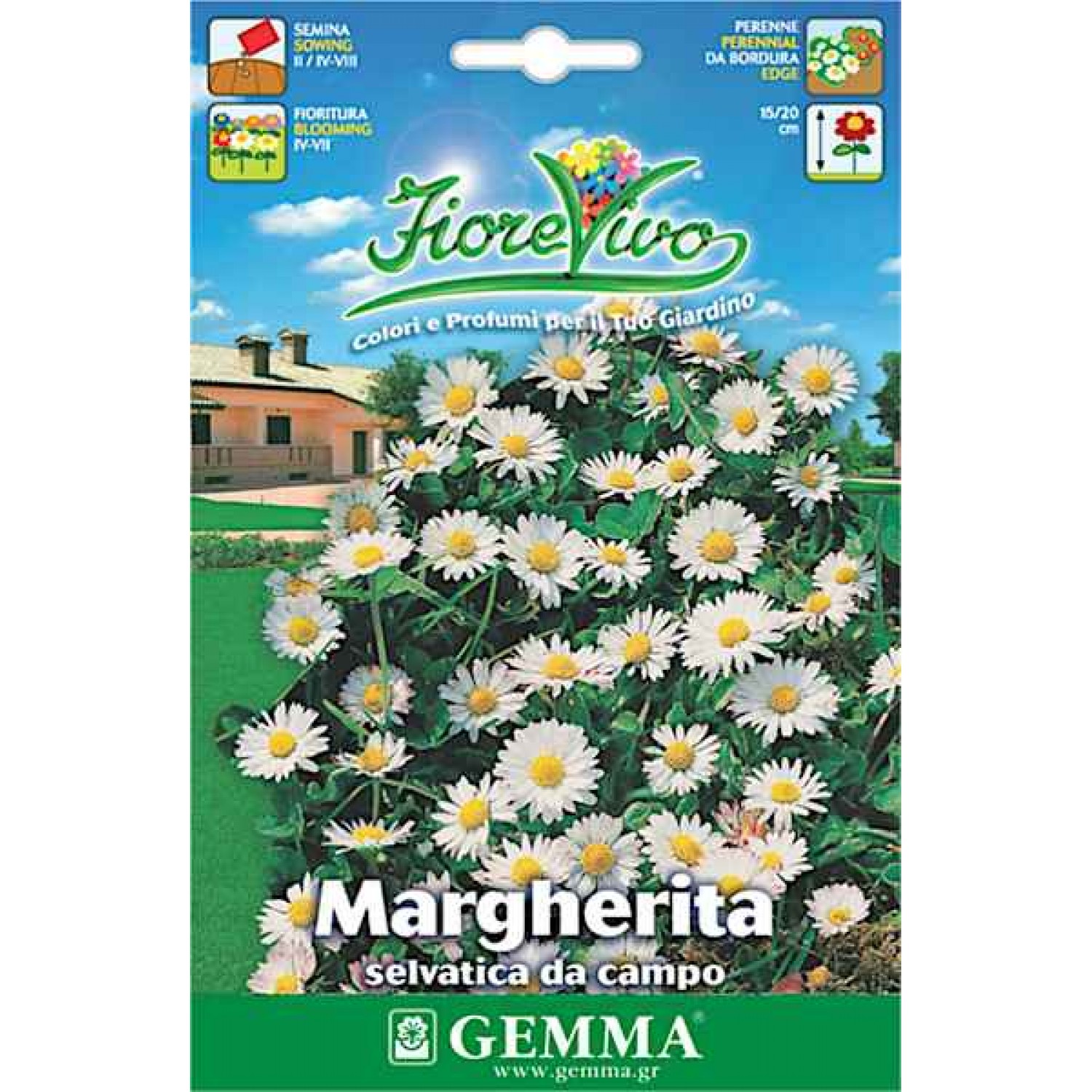 Field Daisy 0.2g Seeds Packet (Leucanthemum vulgare) - Seed for Daisies Field Daisy 0.2g Seeds Packet (Leucanthemum vulgare)