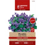 Sweet Violet 0.2g Seeds Packet (Viola odorata) - Seed for Violets Sweet Violet 0.2g Seeds Packet (Viola odorata)