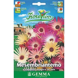 Livingstone Daisy 0.2g Seeds-Mesembryanthemum criniflorum