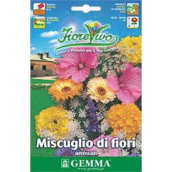 Mixture of Annual Flowers 2g Seeds Packet