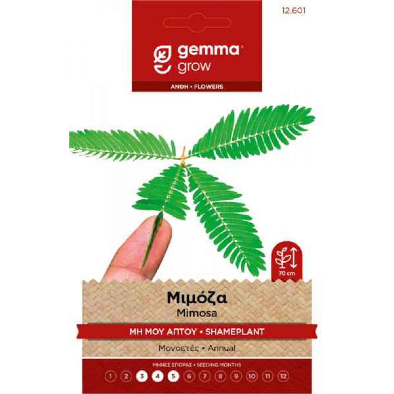 Shameplant 1g Seeds Packet (Mimosa pudica) - Seed for Shameplants Shameplant 1g Seeds Packet (Mimosa pudica)