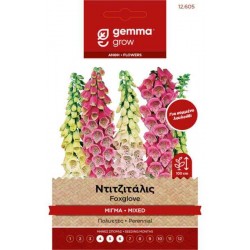 Common Foxglove Mix 0.8g Seeds Packet (Digitalis purpurea) - Seed for Foxgloves Common Foxglove Mix 0.8g Seeds (Digitalis purpurea)