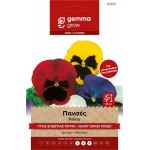 Πανσές Γίγας Ελβετίας Μίγμα 0,1g Σπόροι Φάκελος (Viola tricolor) - Σπόρος για Πανσέδες Πανσές Γίγας Ελβετίας Μίγμα 0,1g Σπόροι-Viola tricolor