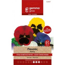 Πανσές Γίγας Ελβετίας Μίγμα 0,1g Σπόροι-Viola tricolor