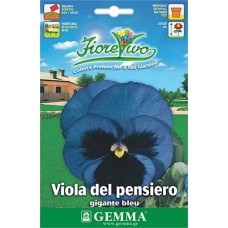 Πανσές Γίγας Μπλε 0,2g Σπόροι (Viola × wittrockiana)