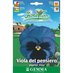Πανσές Γίγας Μπλε 0,2g Σπόροι (Viola × wittrockiana)