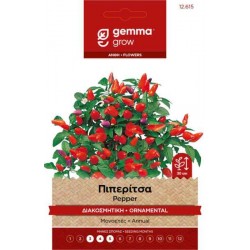 Decorative Tabasco Pepper 0.2g Seeds Packet (Capsicum frutescens) - Seed for Peppers Decorative Tabasco Pepper 0.2g Seeds-Capsicum frutescens